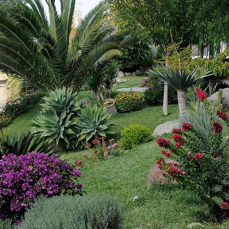 Ferienwohnung Casa Ischitana Forio di Ischia Exterior foto
