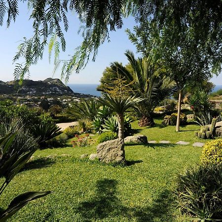 Ferienwohnung Casa Ischitana Forio di Ischia Exterior foto