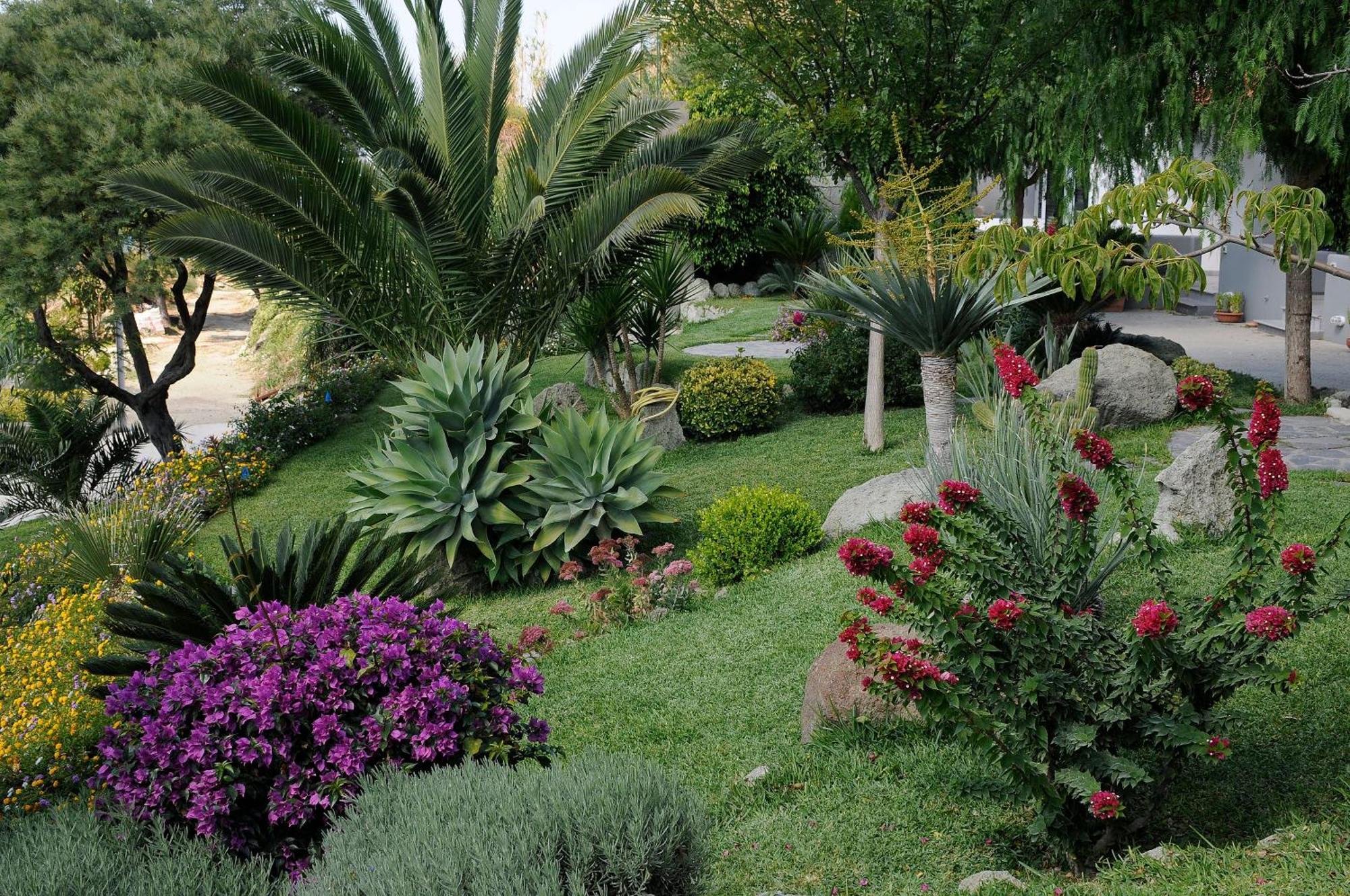 Ferienwohnung Casa Ischitana Forio di Ischia Exterior foto