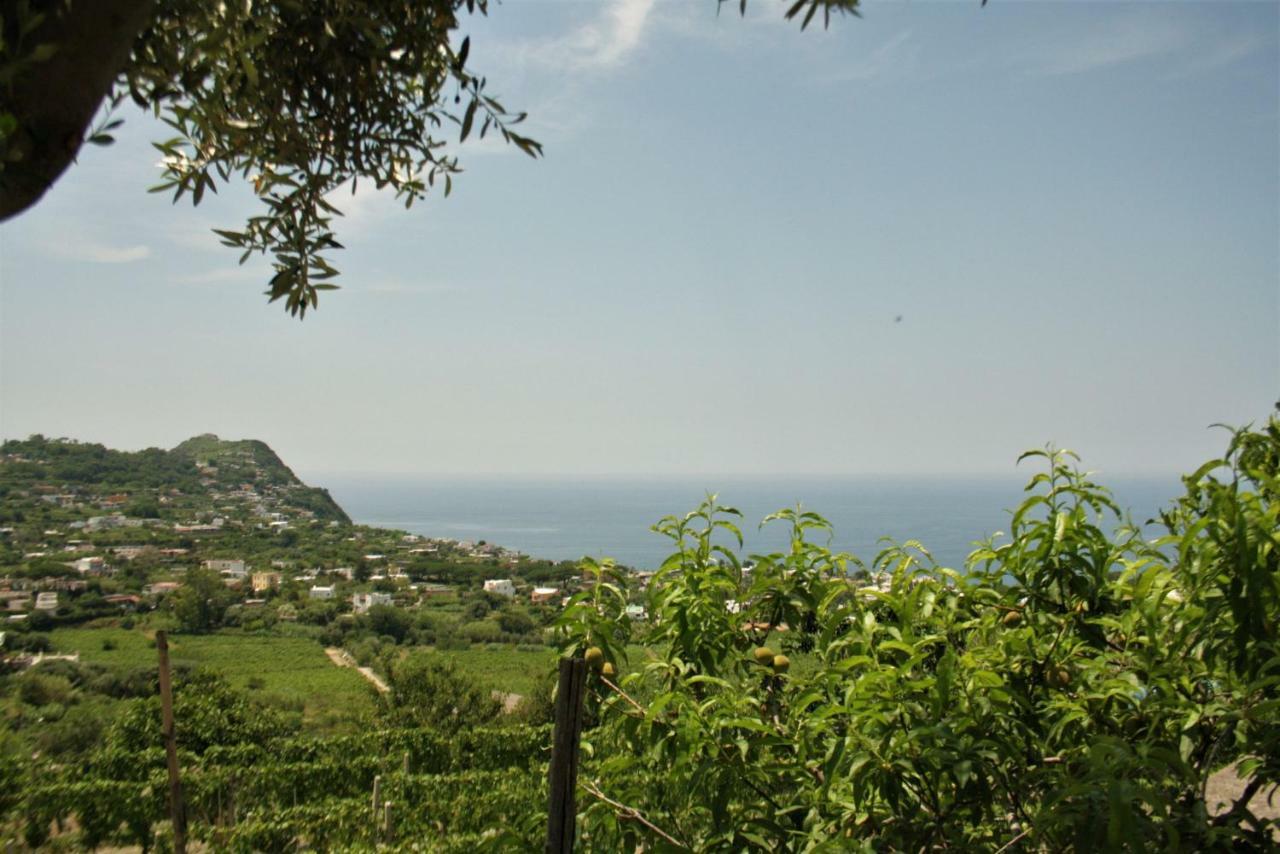 Ferienwohnung Casa Ischitana Forio di Ischia Exterior foto