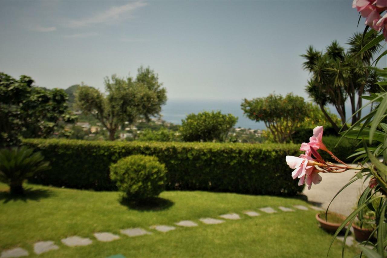 Ferienwohnung Casa Ischitana Forio di Ischia Exterior foto