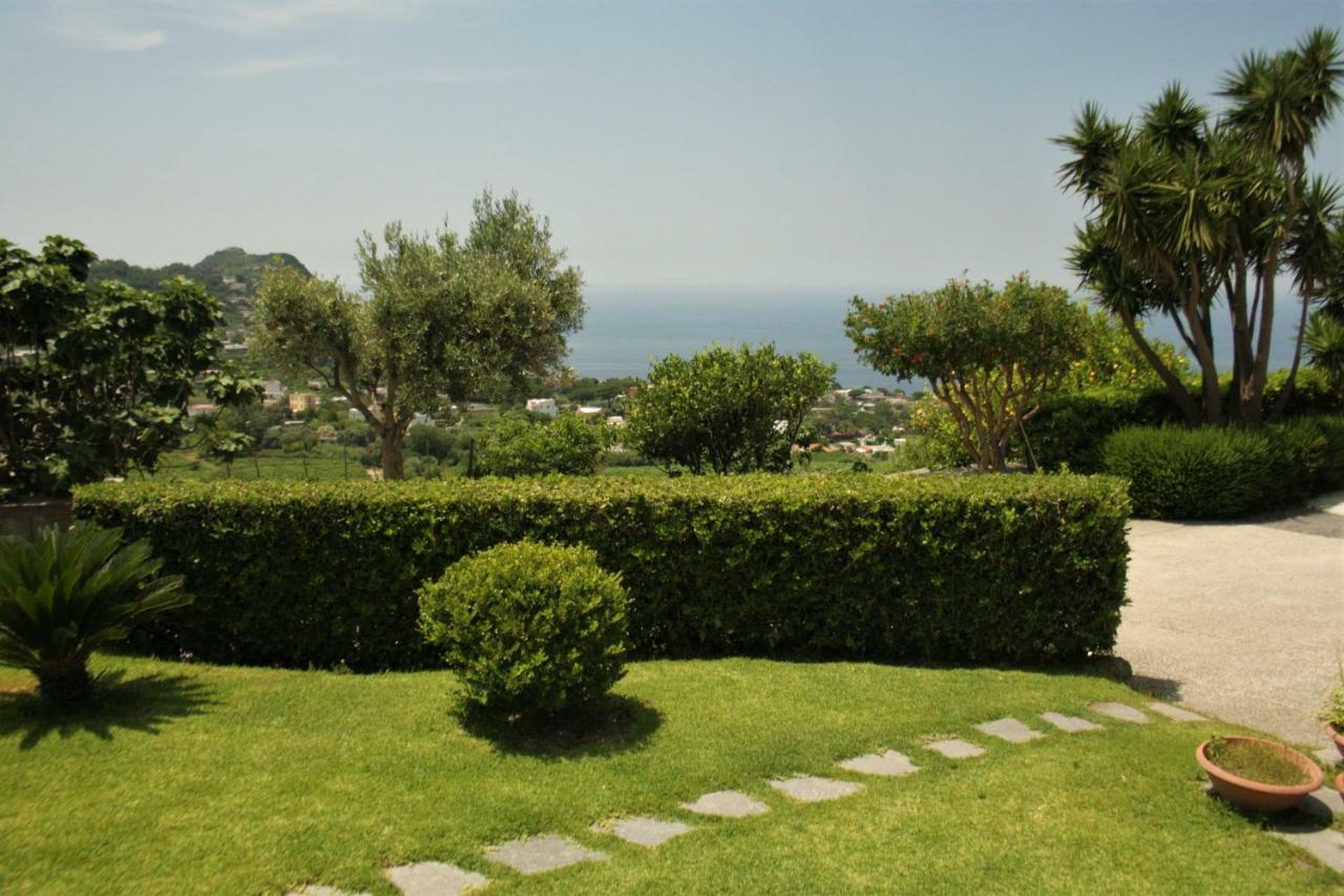 Ferienwohnung Casa Ischitana Forio di Ischia Exterior foto